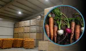Stockage alimentaire chambre froide données à distance - Surveillance de la pression industrielle