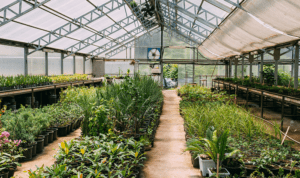 Serre et agriculture