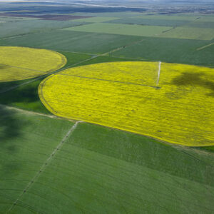 contrôle des niveaux - agriculture - données à distance - contrôle température et humidité